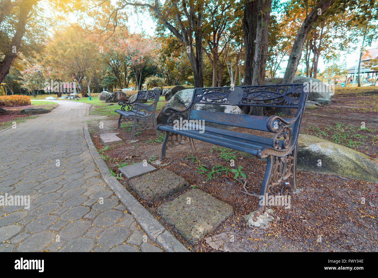 Bank unter dem Baum im park Stockfoto