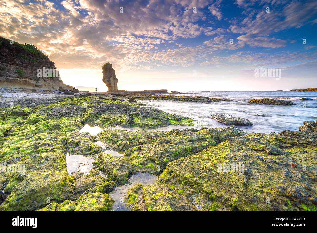 Rock grünes Moos mit Sonnenaufgang Hintergrund am Pantai Batu Payung (Umbrella Felsstrand) Lombok, Indonesien. Stockfoto