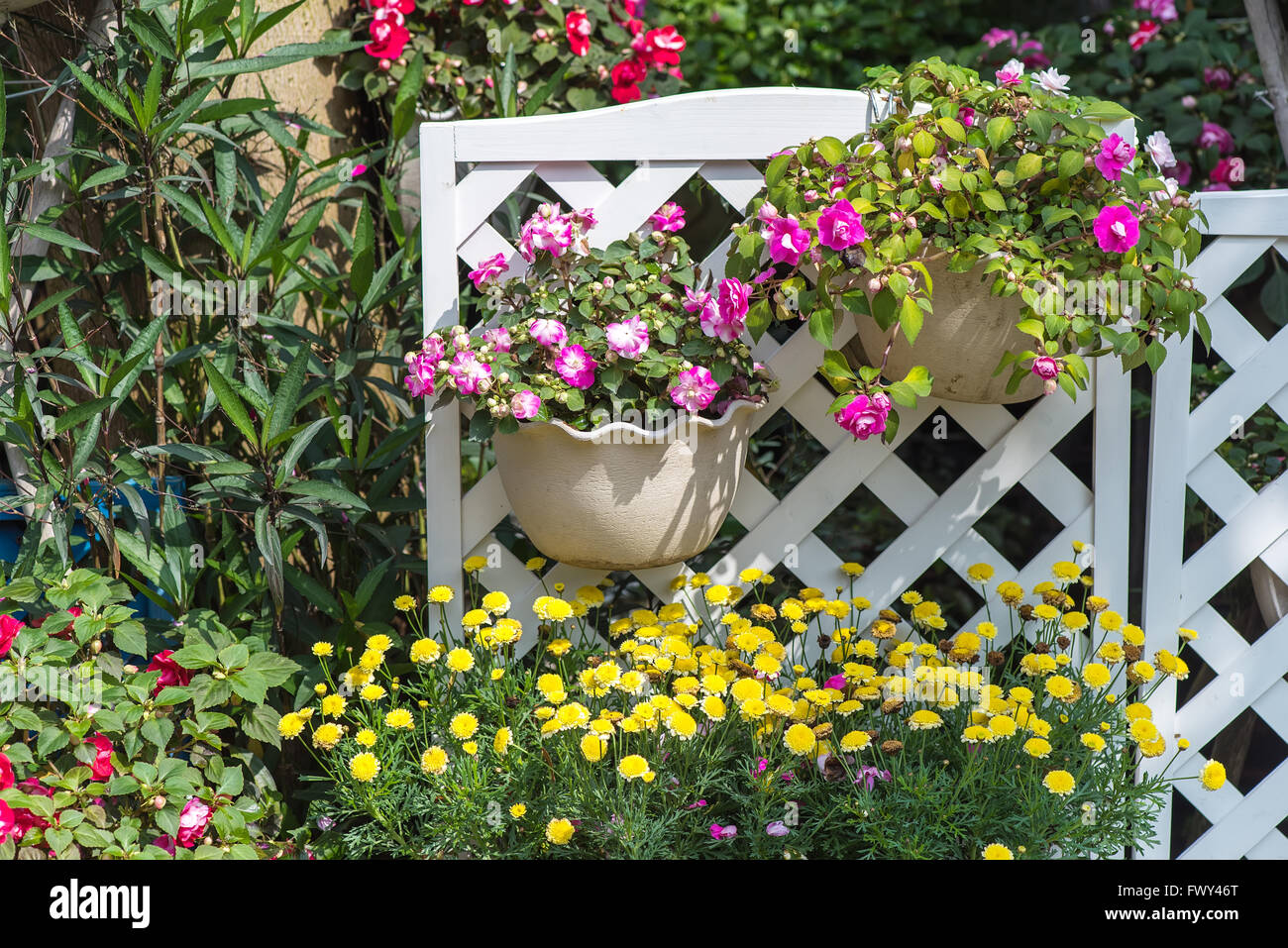 Blumen Sie in Töpfen zum Verkauf an die lokalen Garten-center Stockfoto