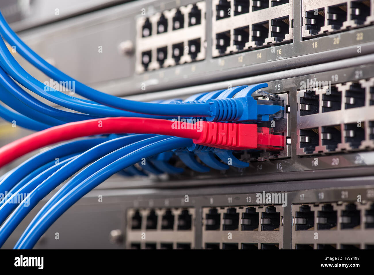 Netzwerk-Switch und Ethernet-Kabel, Daten-Center-Konzept Stockfotografie -  Alamy