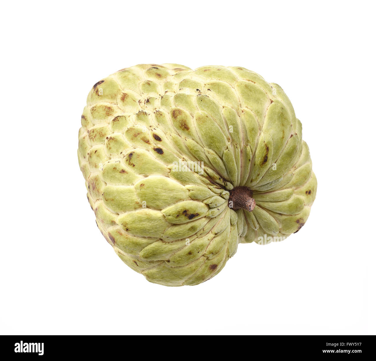 Zucker Apfel (Custard Apple, Annona, Flaschenbaum) auf weißem Hintergrund Stockfoto