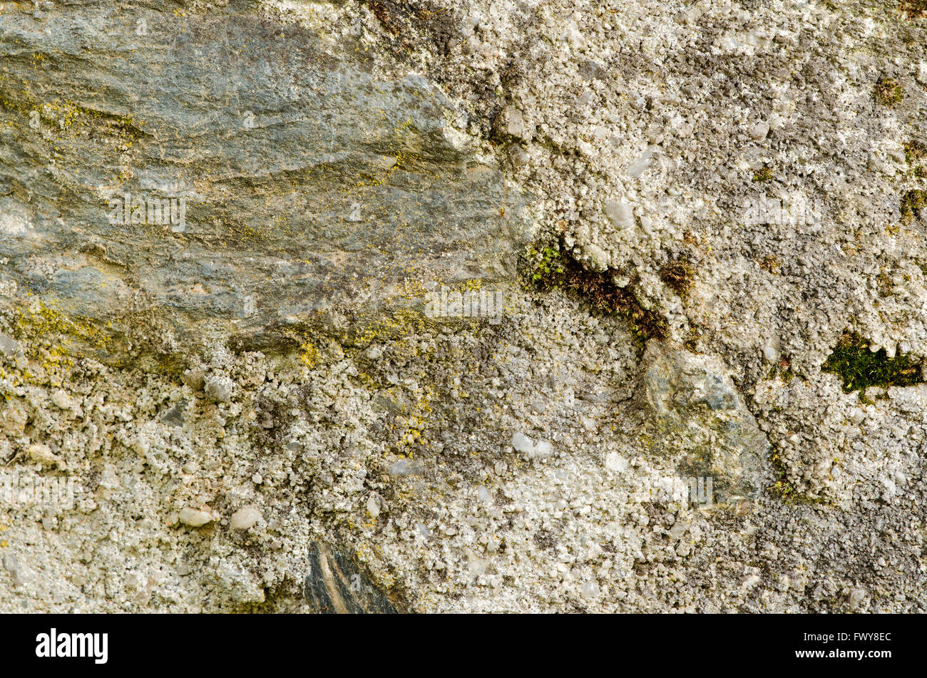 Bemoosten Stein und Gips Textur in der Seite Sonne Stockfoto