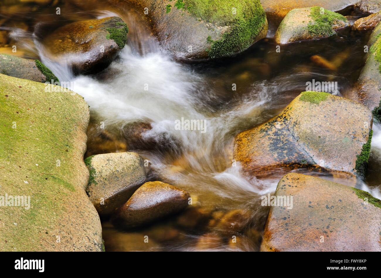 Detail des kleinen schönen Wasserfall zwischen bemoosten Steinen. Stockfoto