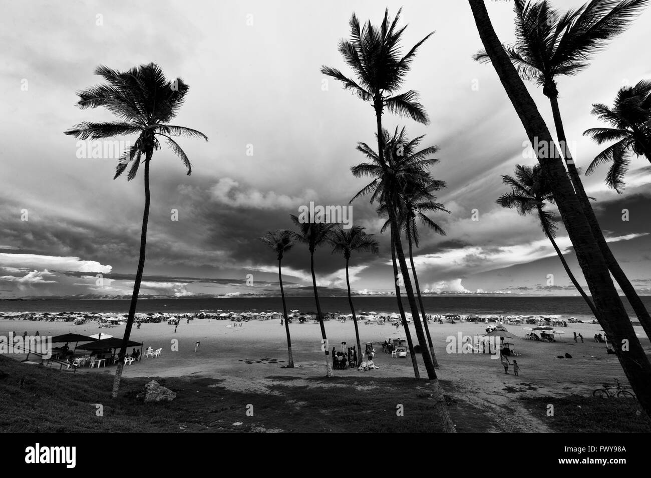 Schwarz-weiße Landschaft von Jardim de Alah Strand mit Menschen, Kokospalmen und dramatischen Himmel, Salvador, Bahia, Brasilien Stockfoto