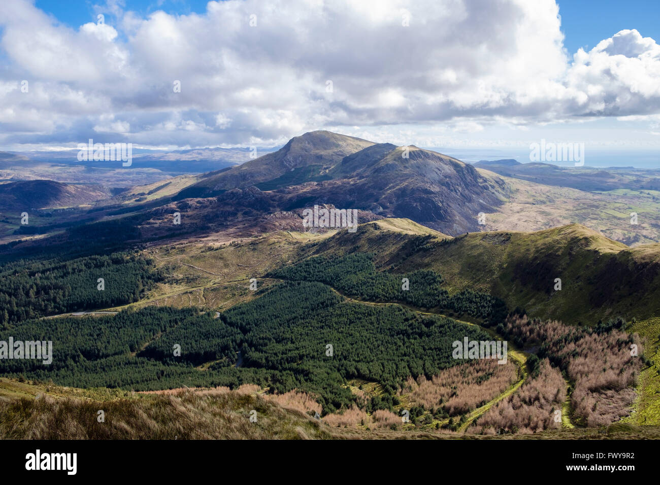 Blick Süden über Beddgelert Wald, Moel Hebog aus Mynydd Drws-y-Coed auf Nantlle Ridge in Berge von Snowdonia Wales UK Stockfoto