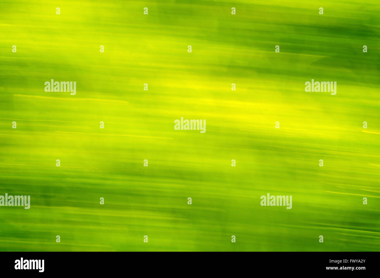 Grasgrün Unschärfe Frühling Textur, helle und dunkle Linien. Stockfoto