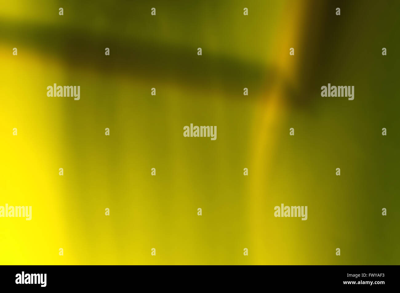 Vertikalen gelben Hintergrund mit braunen Schatten auf der Oberseite Weichzeichnen Stockfoto