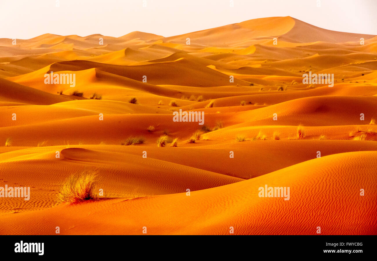 Sahara-Dünen in der Nähe von Mhamid bei Sonnenuntergang Stockfoto