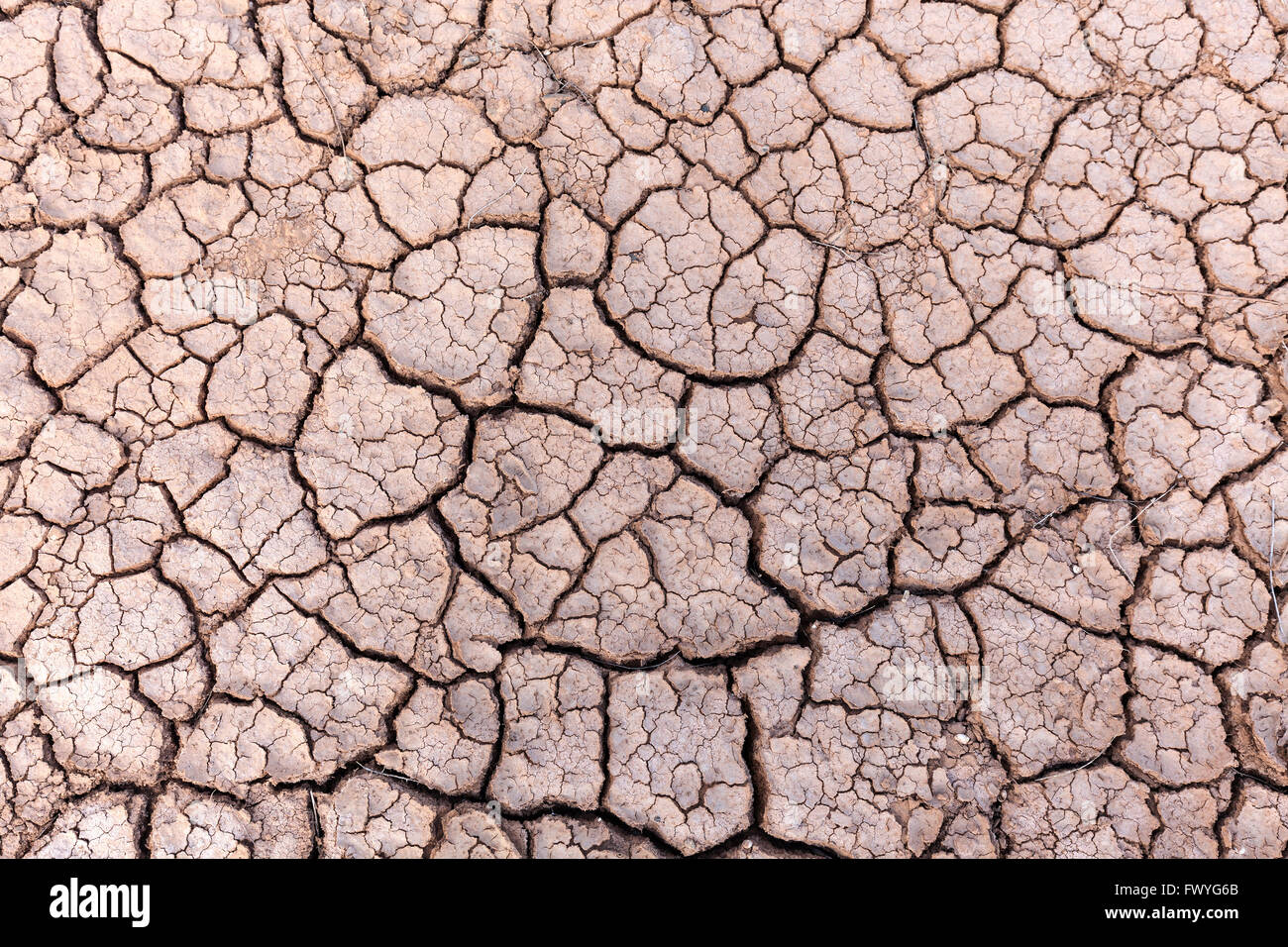 Getrocknete Erde, trockene Risse in der Oberfläche von gemahlener, getrockneter Lehm, Fuerteventura, Kanarische Inseln, Spanien Stockfoto