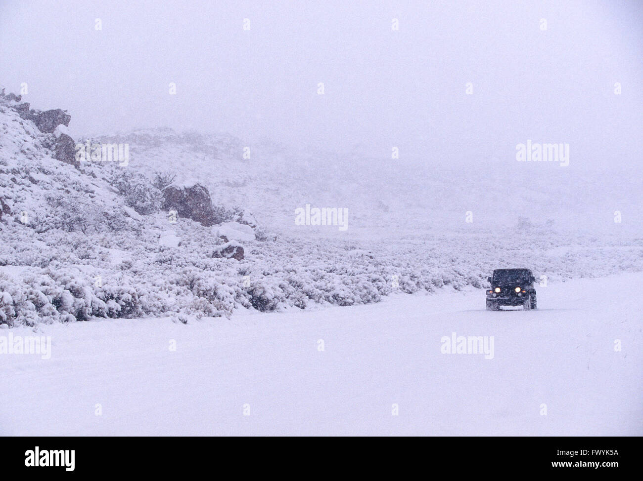 Jeep fahren in einem Schneesturm in Utah, USA Stockfoto