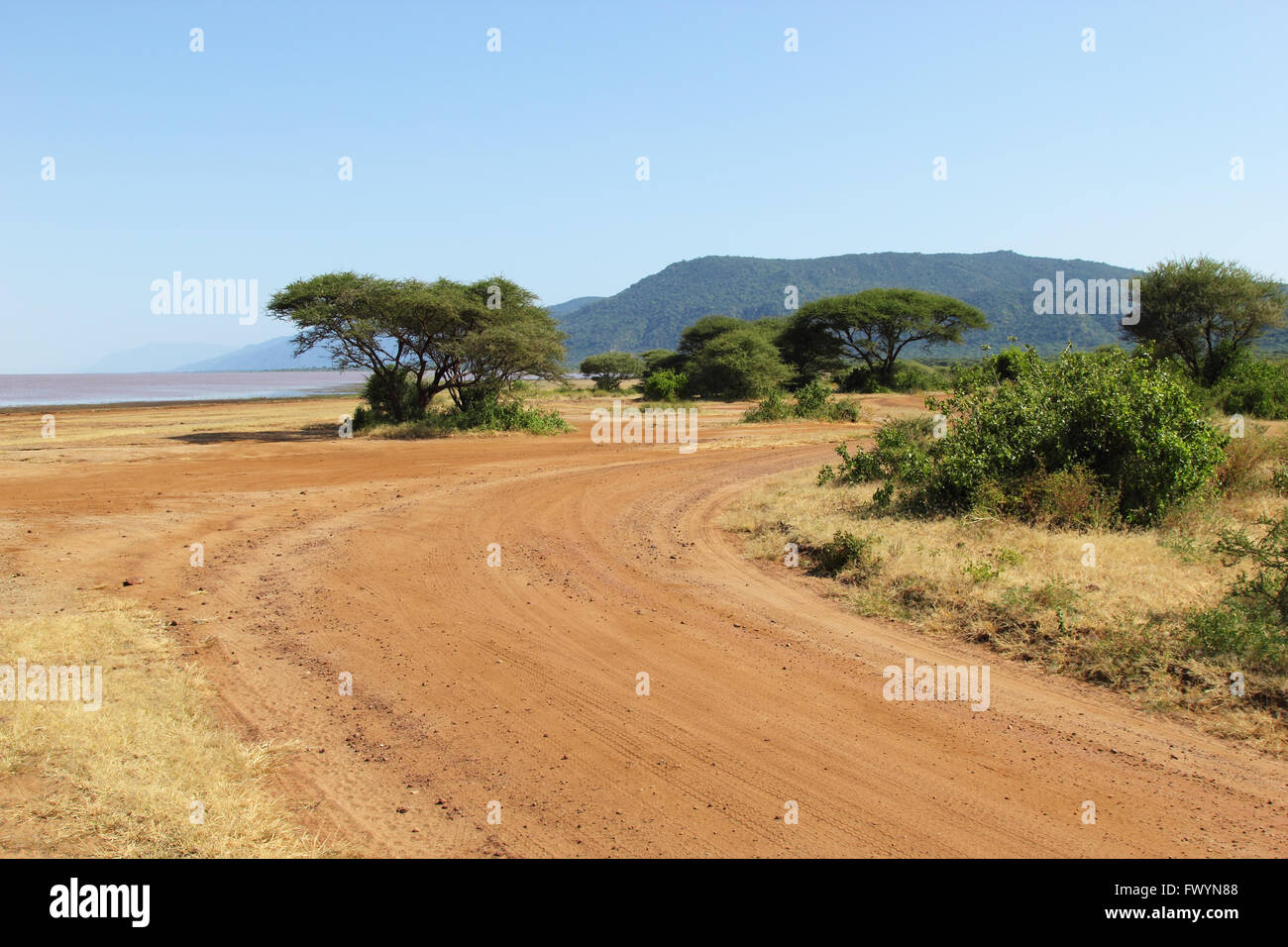 Blick auf sonnige Landschaft unterwegs in Nationalparks von Tansania. Stockfoto