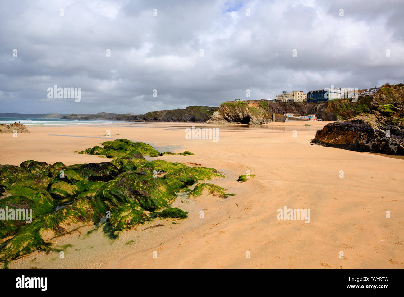 Newquay Strand North Cornwall England UK mit grünen Seegras Stockfoto