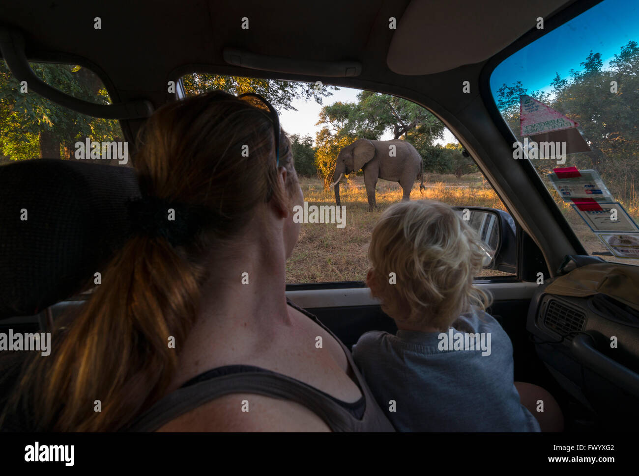 Mutter und junge Chilkd sehen Sie eine Elephnt in Simbabwe Mana Pools Nationalpark Stockfoto