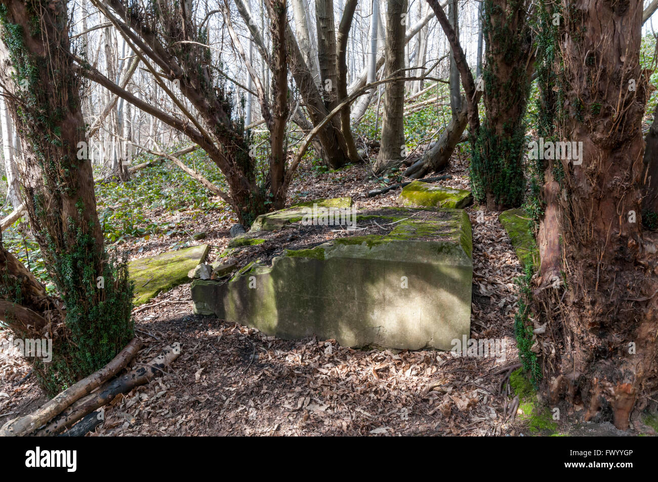 Die Überreste des Toe-Denkmals in Cobham Woods in Kent. Ein Denkmal für einen abgetrennten Zeh und seinem Besitzer.  DETAILS IN DER BESCHREIBUNG. Stockfoto