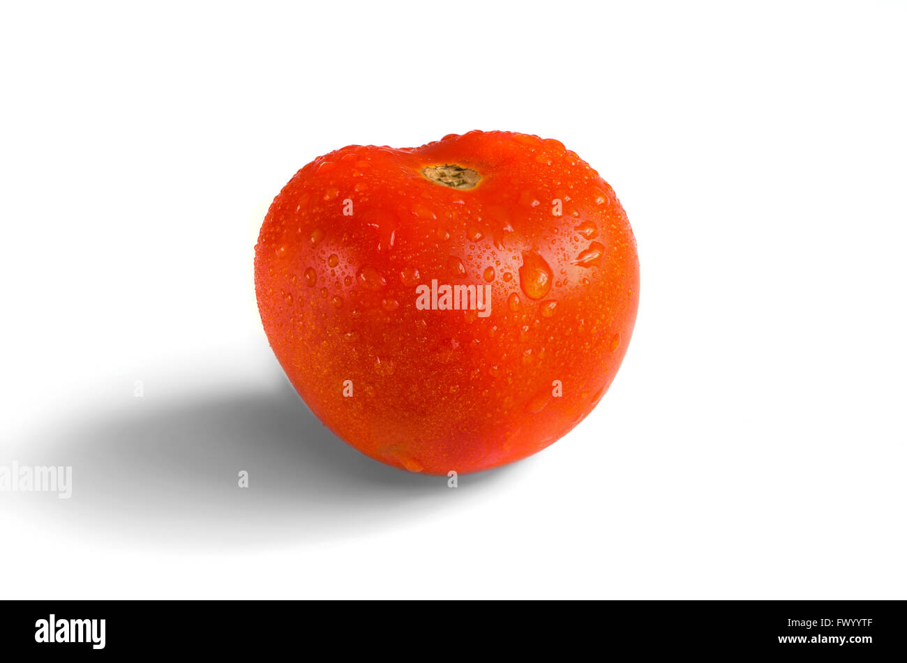 Taufrische Tomaten auf weißen Backgorund isoliert. Stockfoto