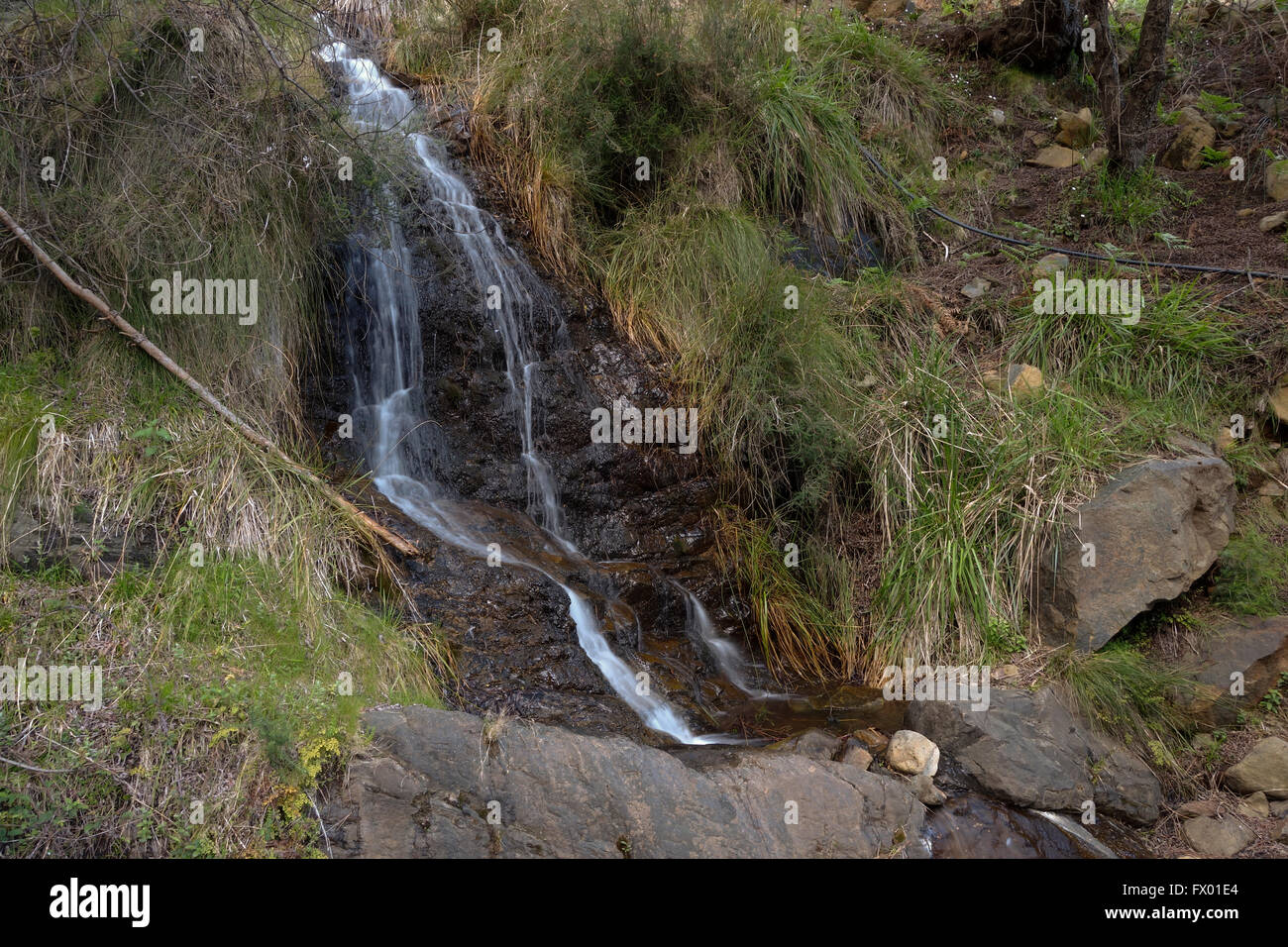 Kaskadierende Bergbach, Wasserfall, Sierra de Las Nieves, Andalusien, Spanien. Stockfoto