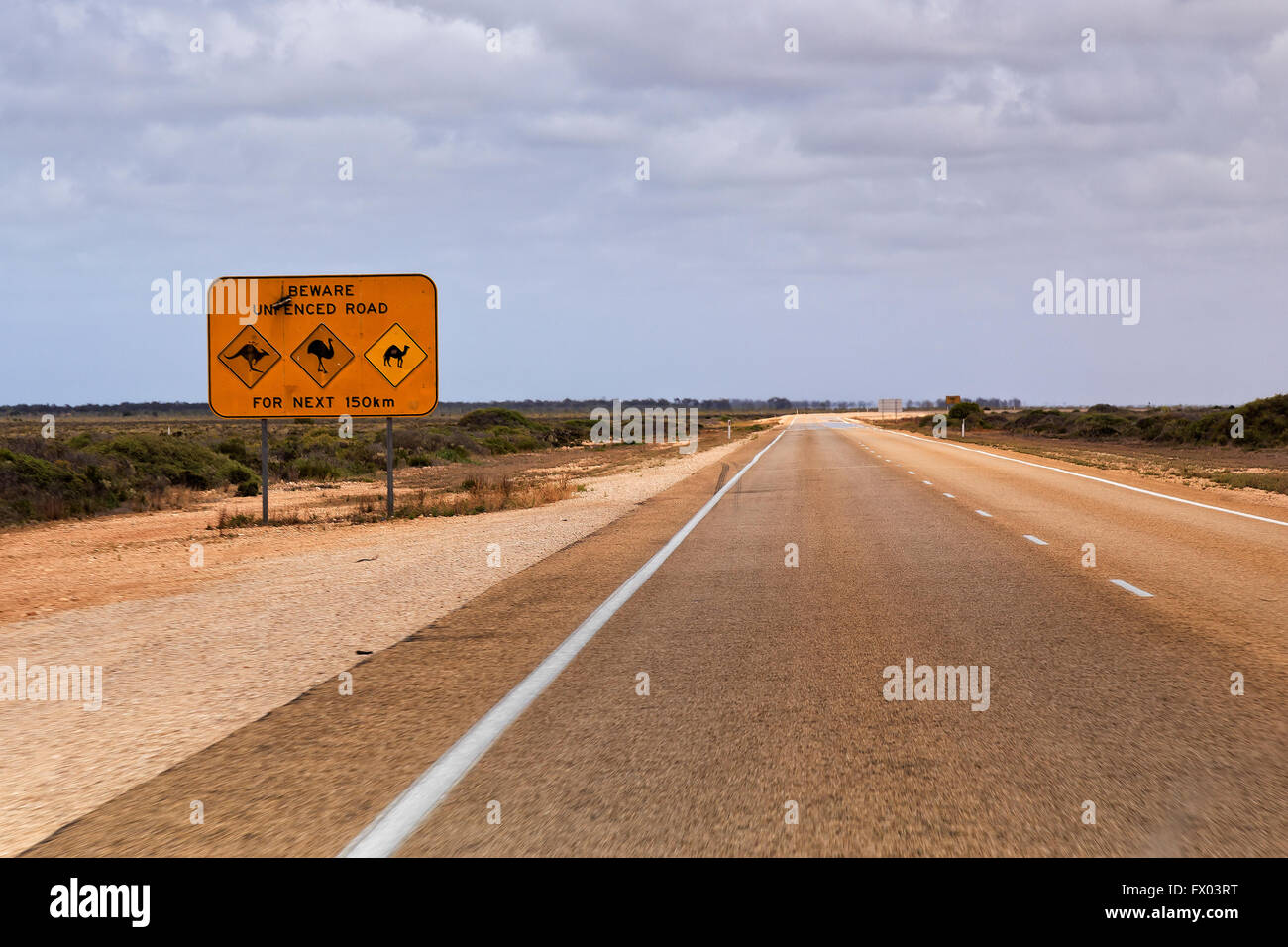 Leere remote lange Eyre Highway-Straße in Westaustralien und Warnzeichen über unfenced Gefahren von Känguru, Strauß und kam Stockfoto