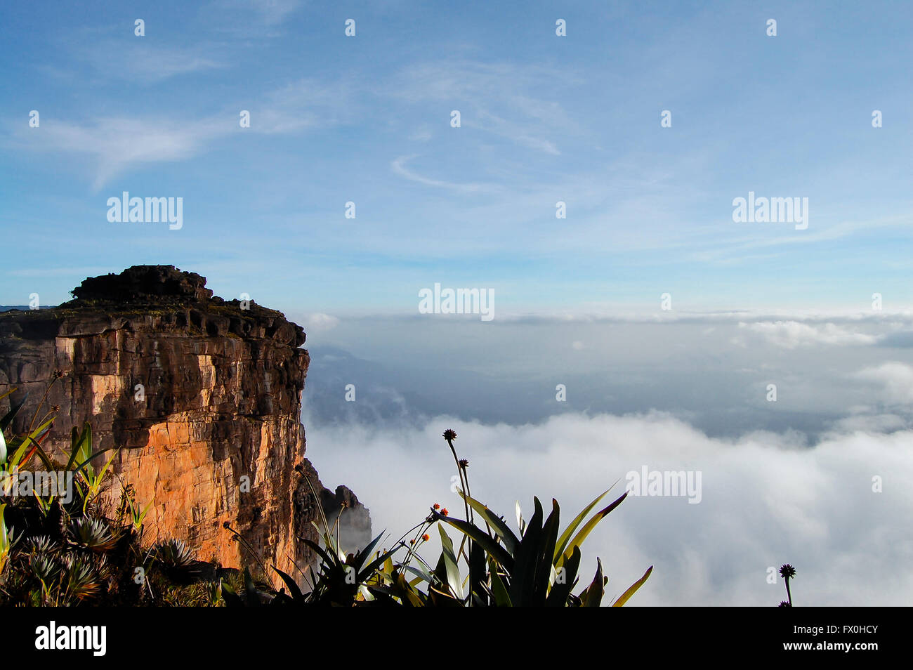 Mount Roraima - Venezuela Stockfoto