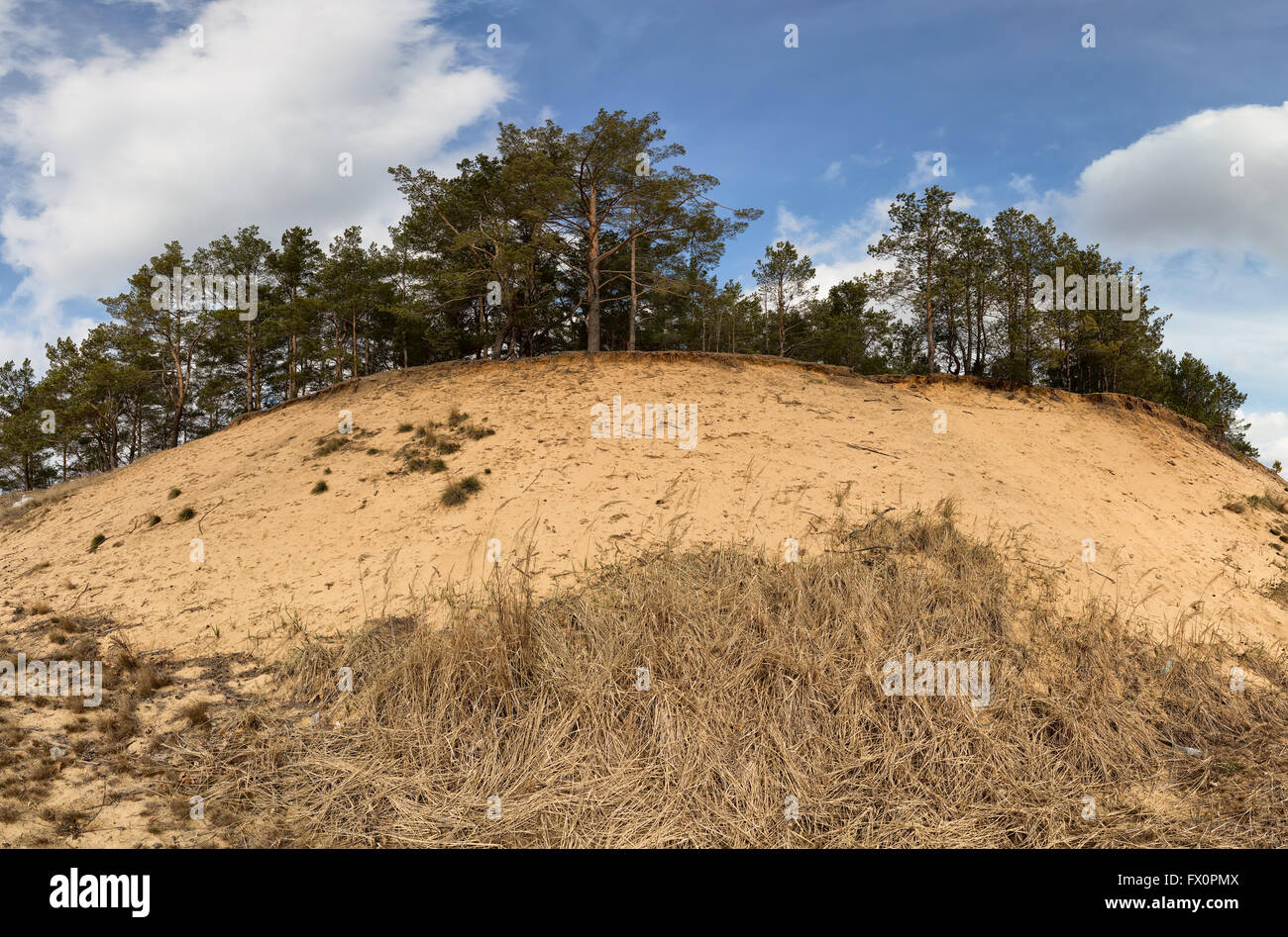 Erosive Blick auf Ruginoasa Grube von Apuseni-Gebirge Stockfoto