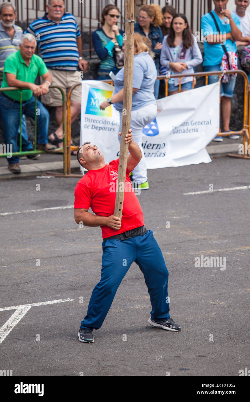 Öffentliche Ausstellung der Kanarischen Pflug Aufhebung Stockfoto
