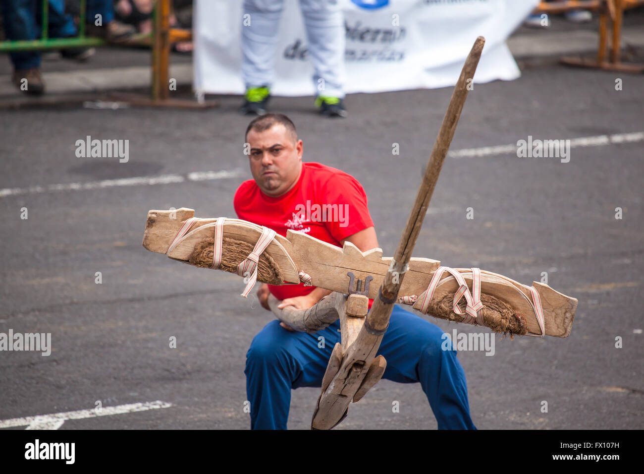 Öffentliche Ausstellung der Kanarischen Pflug Aufhebung Stockfoto