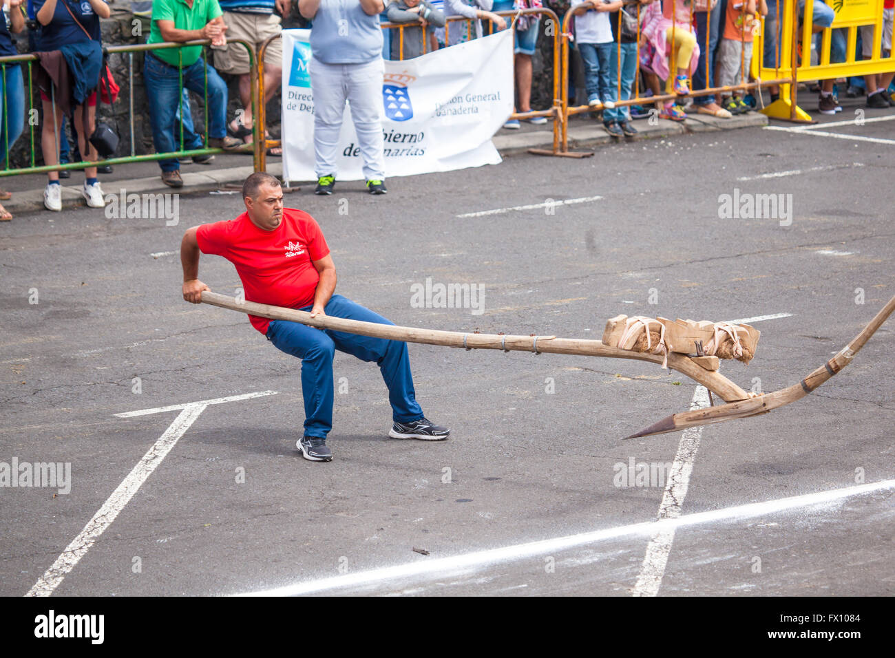 Öffentliche Ausstellung der Kanarischen Pflug Aufhebung Stockfoto