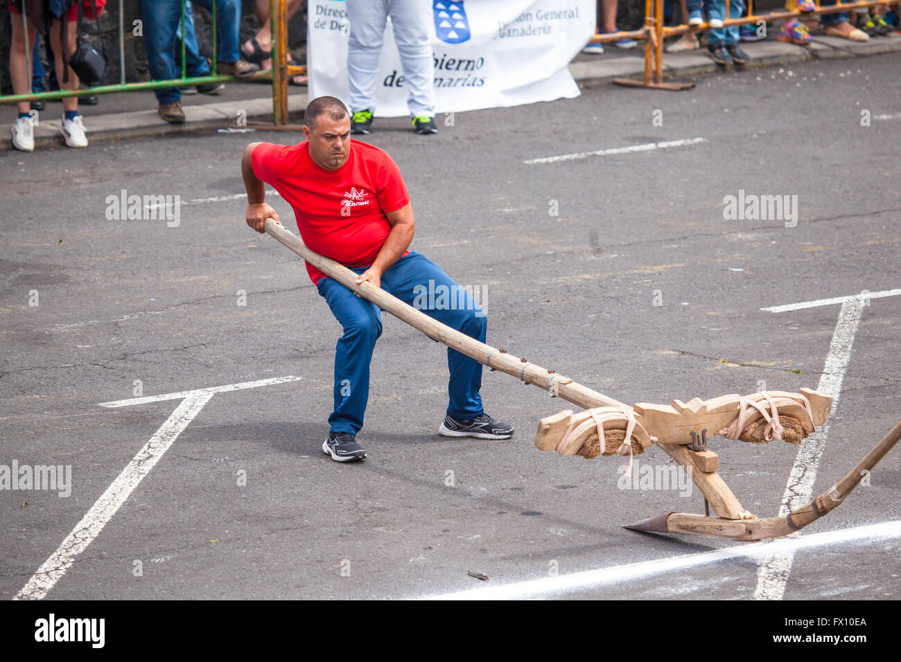 Öffentliche Ausstellung der Kanarischen Pflug Aufhebung Stockfoto