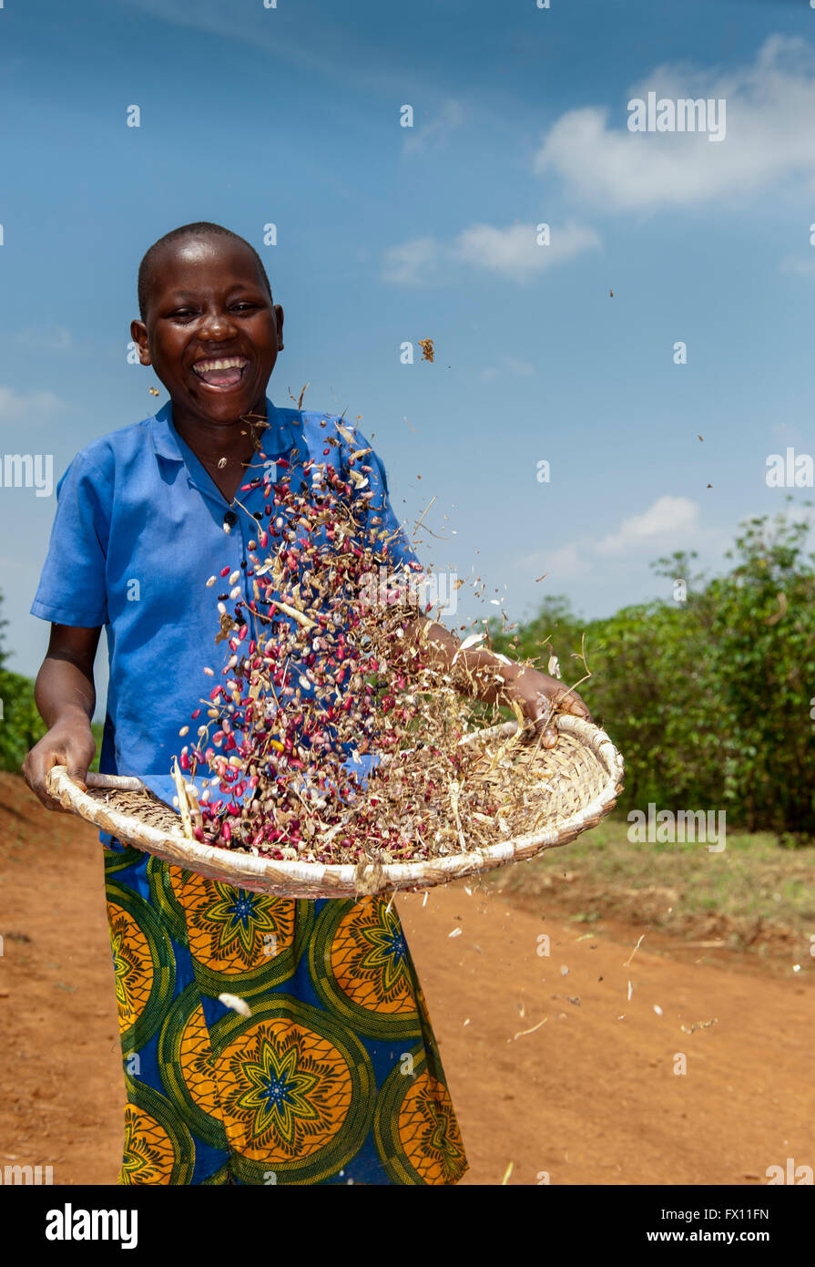 Junges Mädchen aussortieren Spreu aus Bohnen durch das Werfen sie in einem Korb, Ruanda. Stockfoto