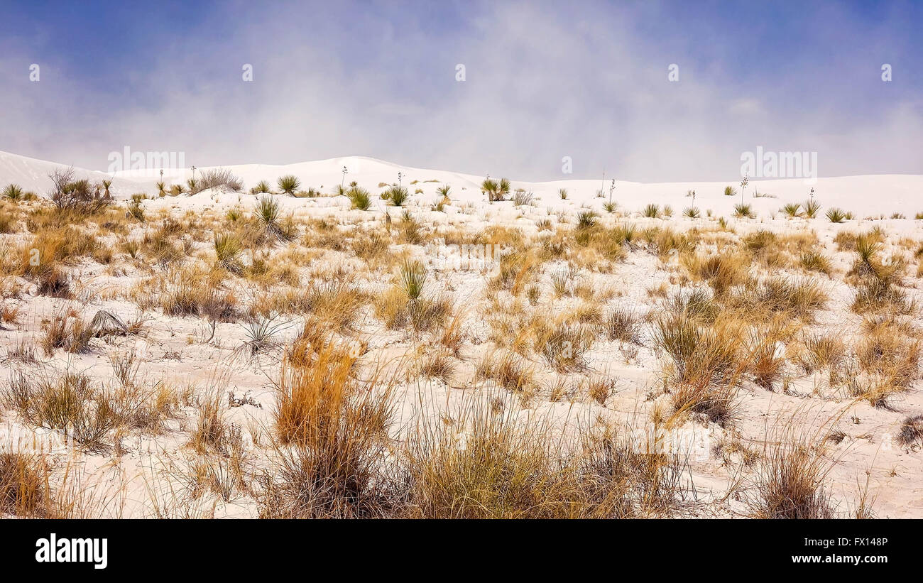 Sandsturm weht in der Ferne im White Sands National Monument im südwestlichen New Mexico Stockfoto