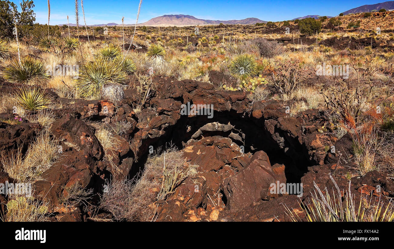 Lava gebildet eine Fledermaus-Höhle im Tal der Brände Recreation Area in New Mexiko Stockfoto