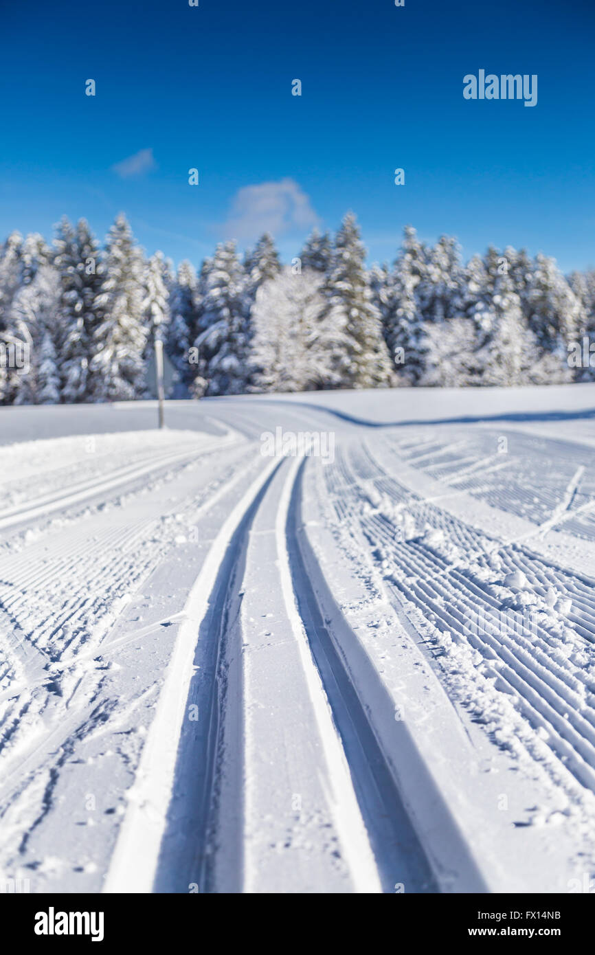 Nahaufnahme des leeren Langlauf verfolgen im schönen Winterlandschaft Wunderland auf einem schönen kalten sonnigen Tag mit blauem Himmel im winter Stockfoto