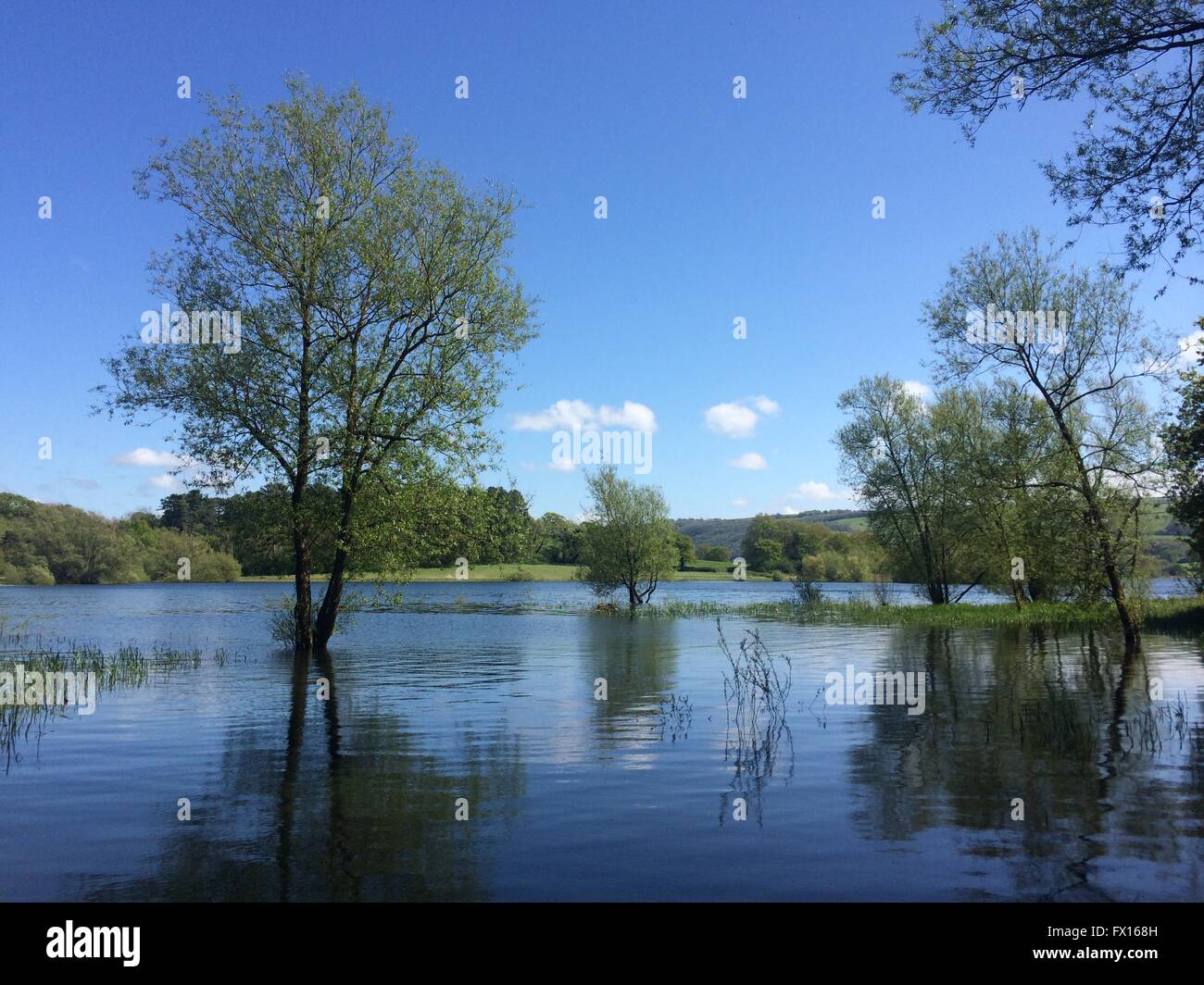 Blagdon Lake, Somerset Stockfoto