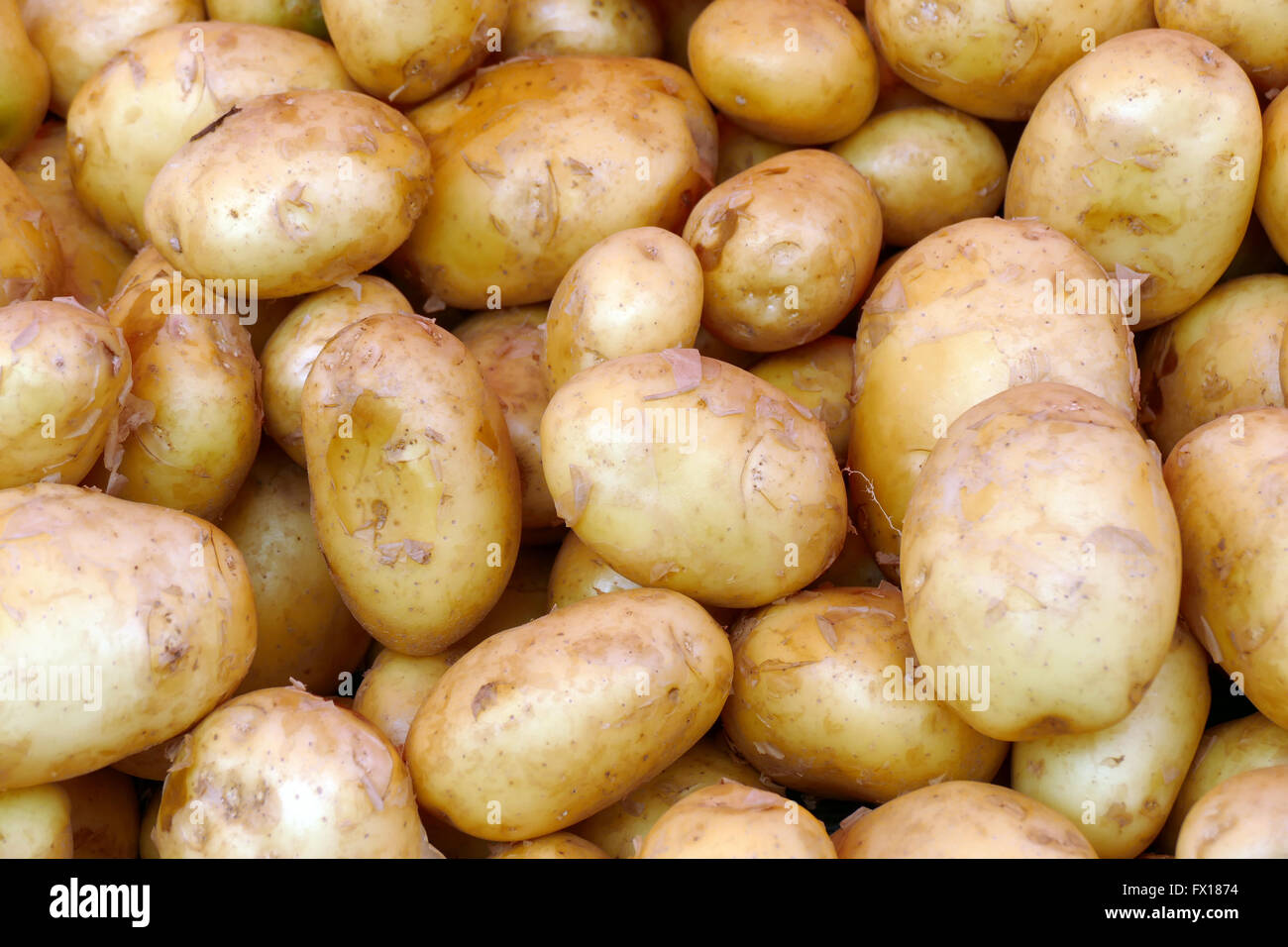 Frische junge Kartoffeln. Stockfoto