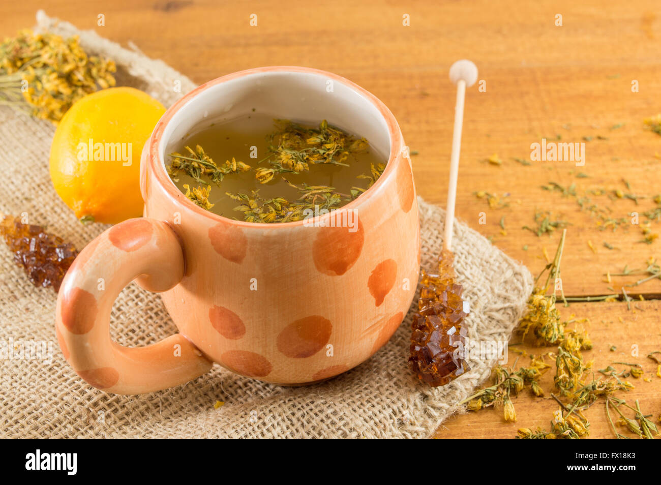 St Johns Johanniskraut Tee und umgeben von getrockneten Kantarion Pflanzen Stockfoto