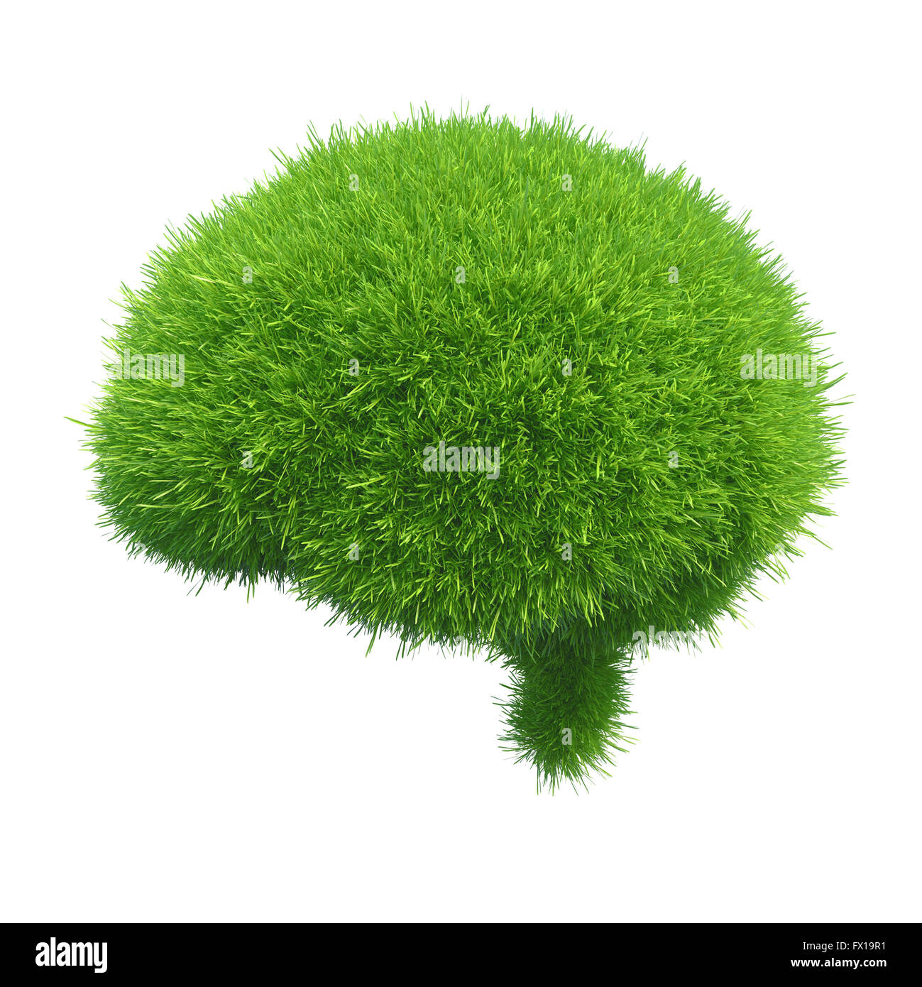 Menschliches Gehirn ist bedeckt mit grünen Rasen isoliert auf weißem Hintergrund Stockfoto