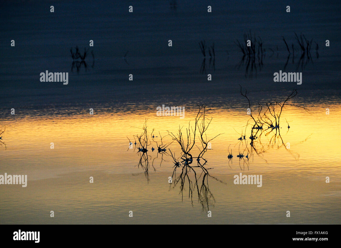 Israel, Totes Meer in der Morgendämmerung Stockfoto