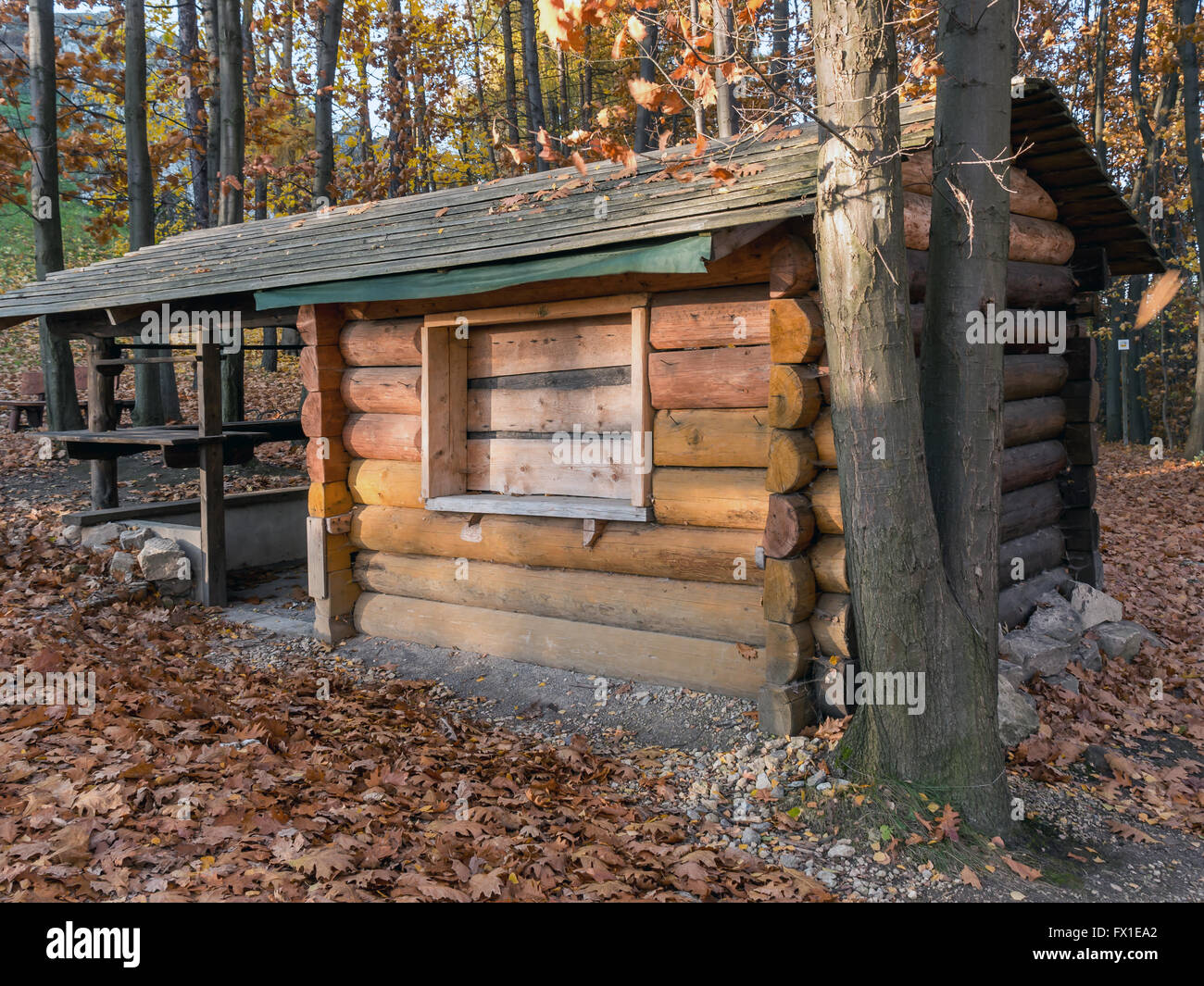 Rustikalen camping Holzhütte im Wald Stockfoto