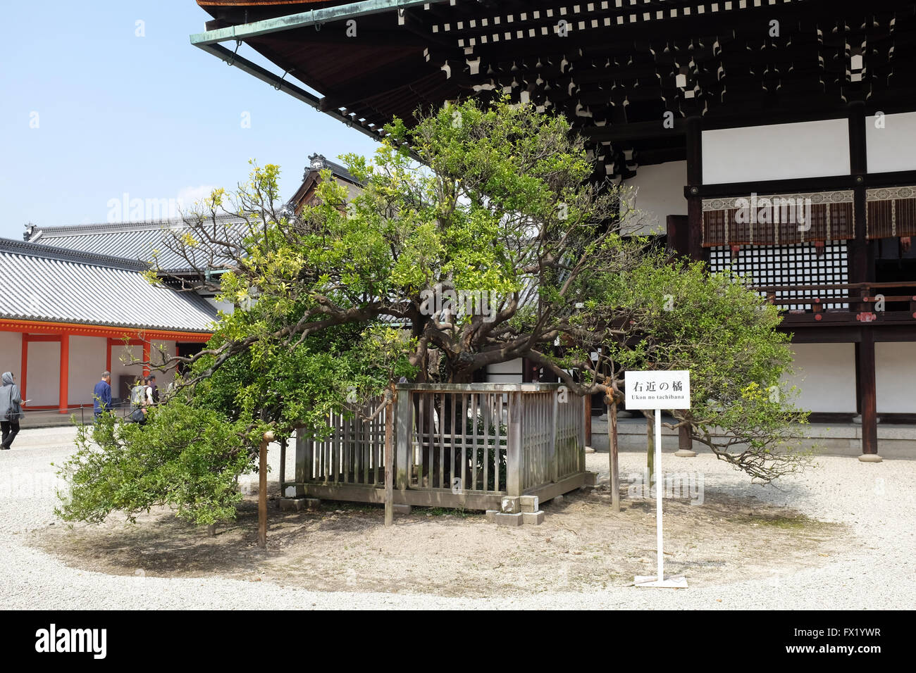 Im Inneren der Kaiserpalast in Kyoto. Dies ist der früher herrschenden Palast des Kaisers von Japan. Er verlegt nach Tokio im Jahre 1869. Stockfoto