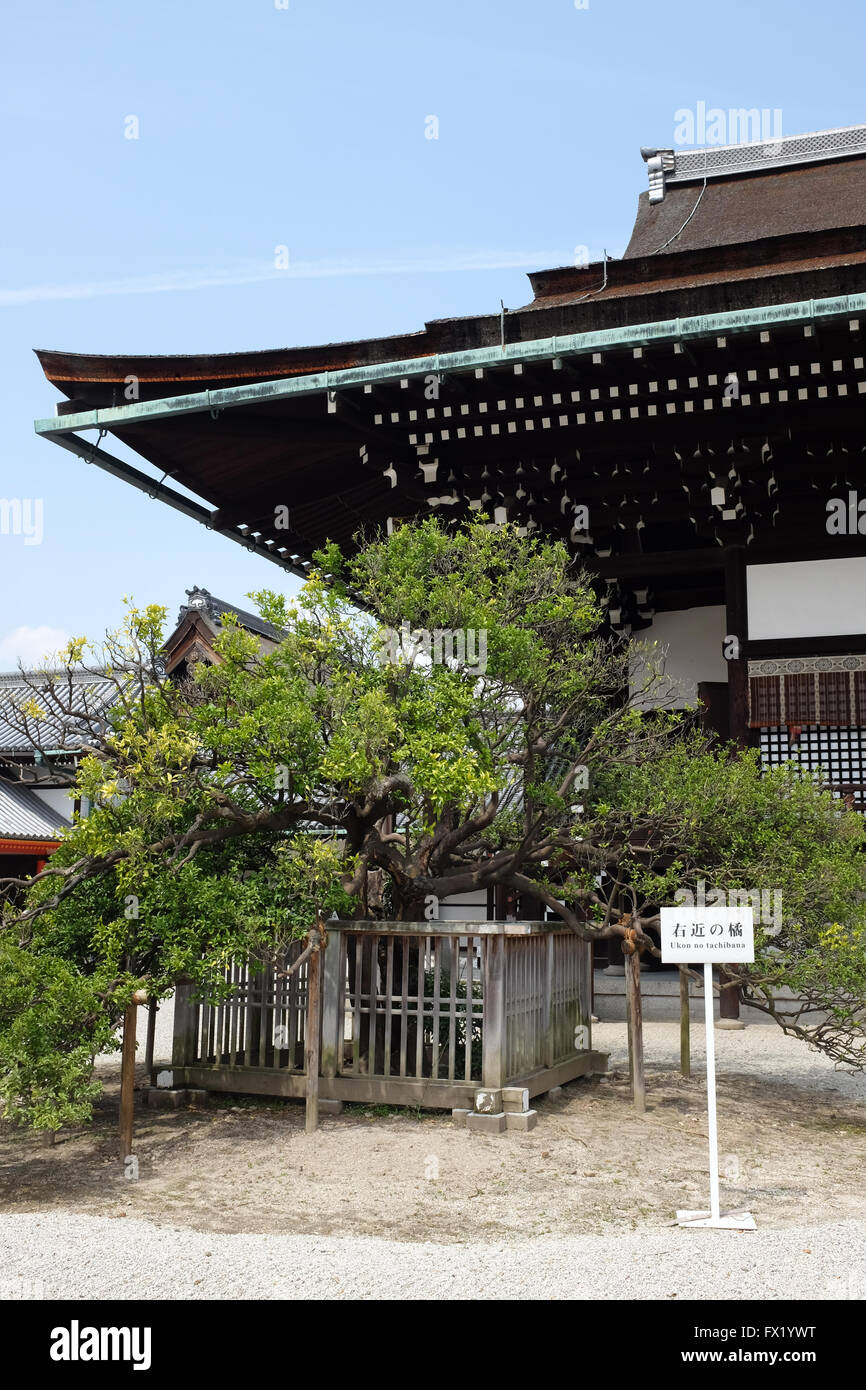 Im Inneren der Kaiserpalast in Kyoto. Dies ist der früher herrschenden Palast des Kaisers von Japan. Er verlegt nach Tokio im Jahre 1869. Stockfoto
