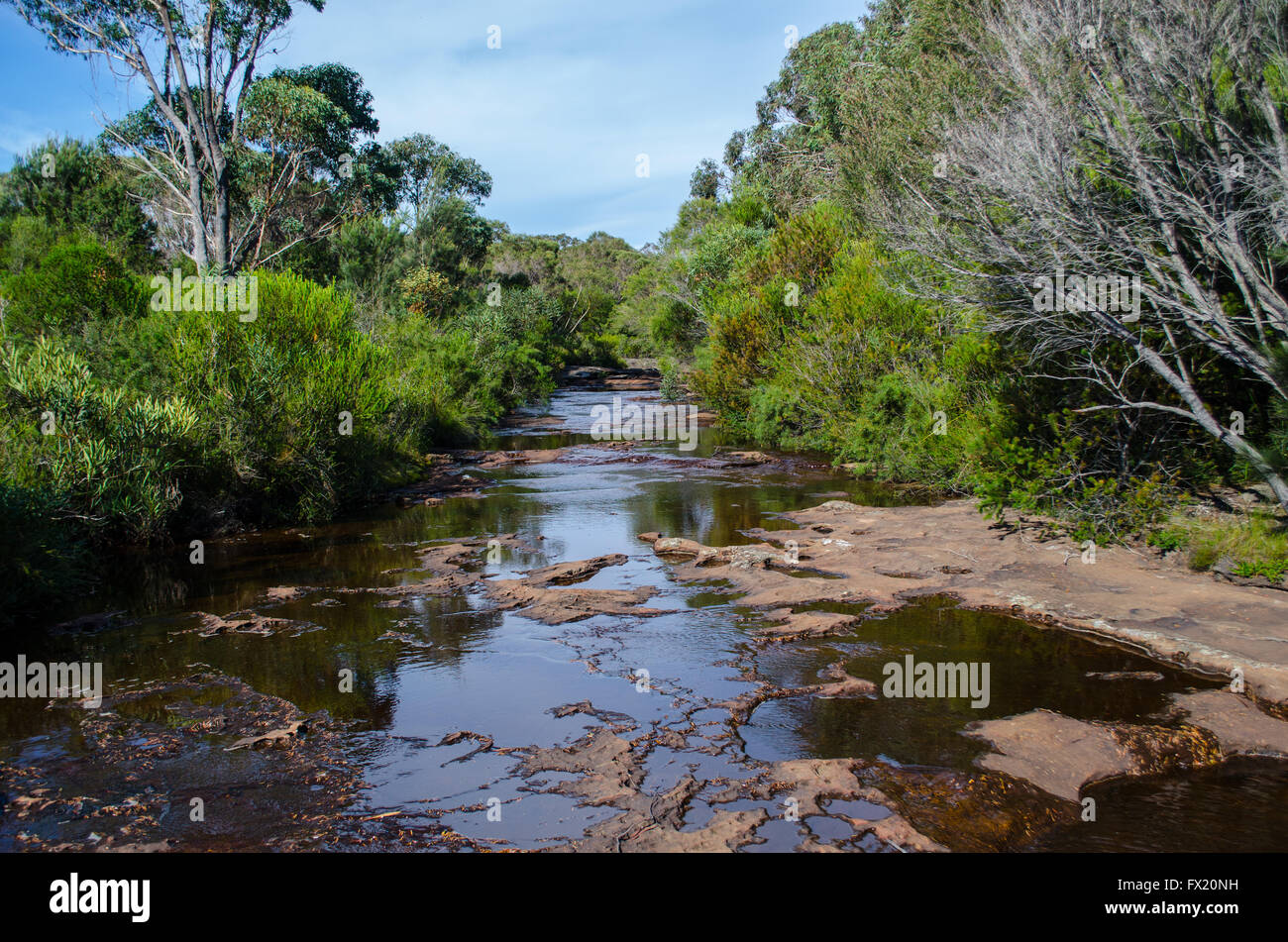 Macht verrückt Creek Dharawal Nature Reserve Darkes Wald NSW Australia Stockfoto