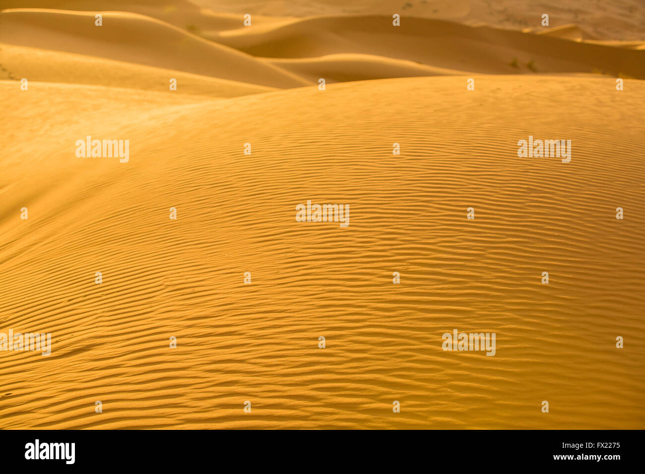 Sand-Texturen bei Sonnenaufgang über Erg Chebbi-Dünen-Gebiet, Merzouga, Marokko Stockfoto