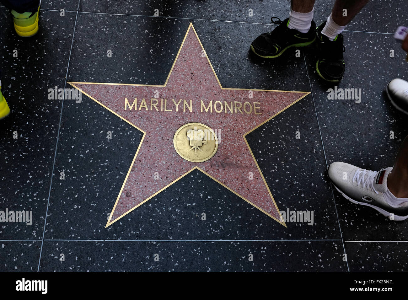 Marilyn Monroe-Stern auf dem Hollywood Walk of Fame in Los Angeles, Kalifornien Stockfoto