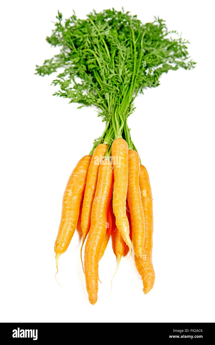 Rohe frische Karotten, isoliert auf weiss Stockfoto