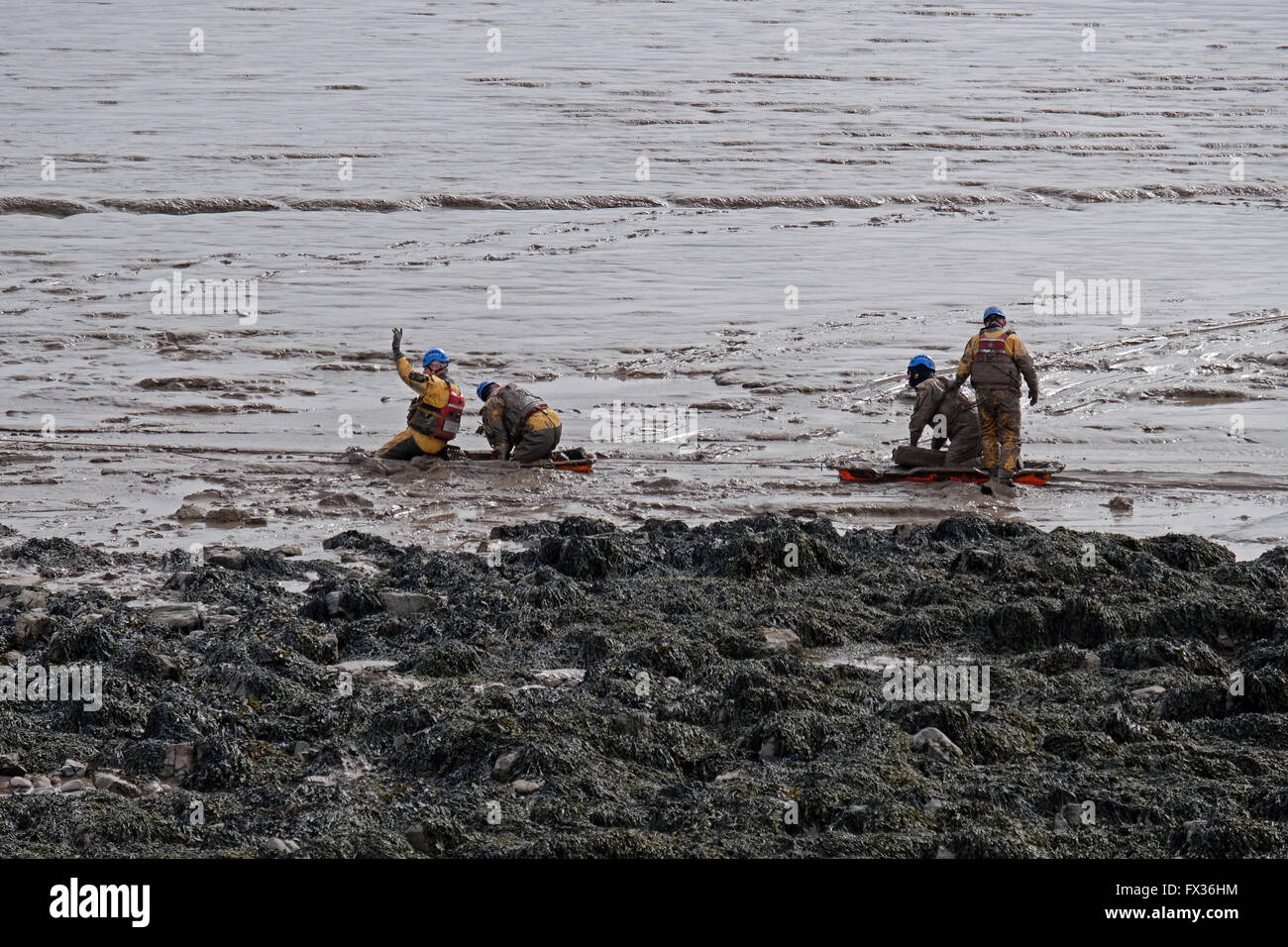 Regensburg, UK. 10. April 2016. Eine Küstenwache rescue Team Praxis Schlamm Rettungstechniken am Strand von Weston-super-Mare. Weston-super-Mare ist auf den Bristolkanal, die zweit-höchsten Tidenhub der Welt hat, und die Rettungsdiensten müssen ständig auf die Gefahren durch den weichen Schlamm, der bei Ebbe ausgesetzt ist vorbereitet sein. Bildnachweis: Keith Ramsey/Alamy Live-Nachrichten Stockfoto