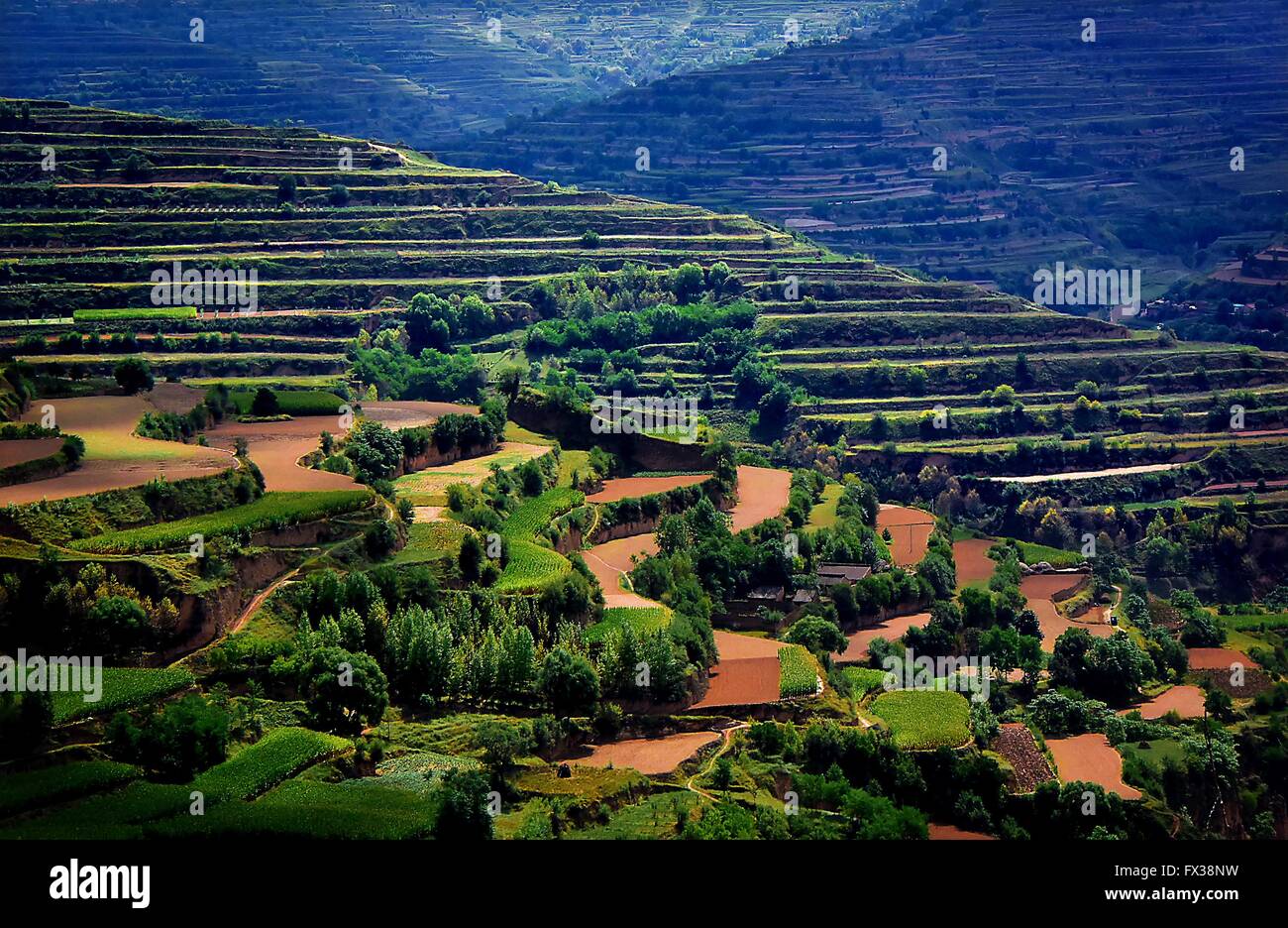 Peking, China. 13. Sep, 2015. Foto aufgenommen am 13. September 2015 zeigt Terrassenfelder in Zhuanglang County Pingliang Stadt, Nordwesten Chinas Provinz Gansu. China hat perfektioniert die Kunst des Bauens Terrassenfelder als ein wirksames Mittel, Wasser und Boden zu erhalten, und hatte eine lange Geschichte der Terrassierung die Kämme für hochverzinsliche zuschneiden. © Wang Song/Xinhua/Alamy Live-Nachrichten Stockfoto