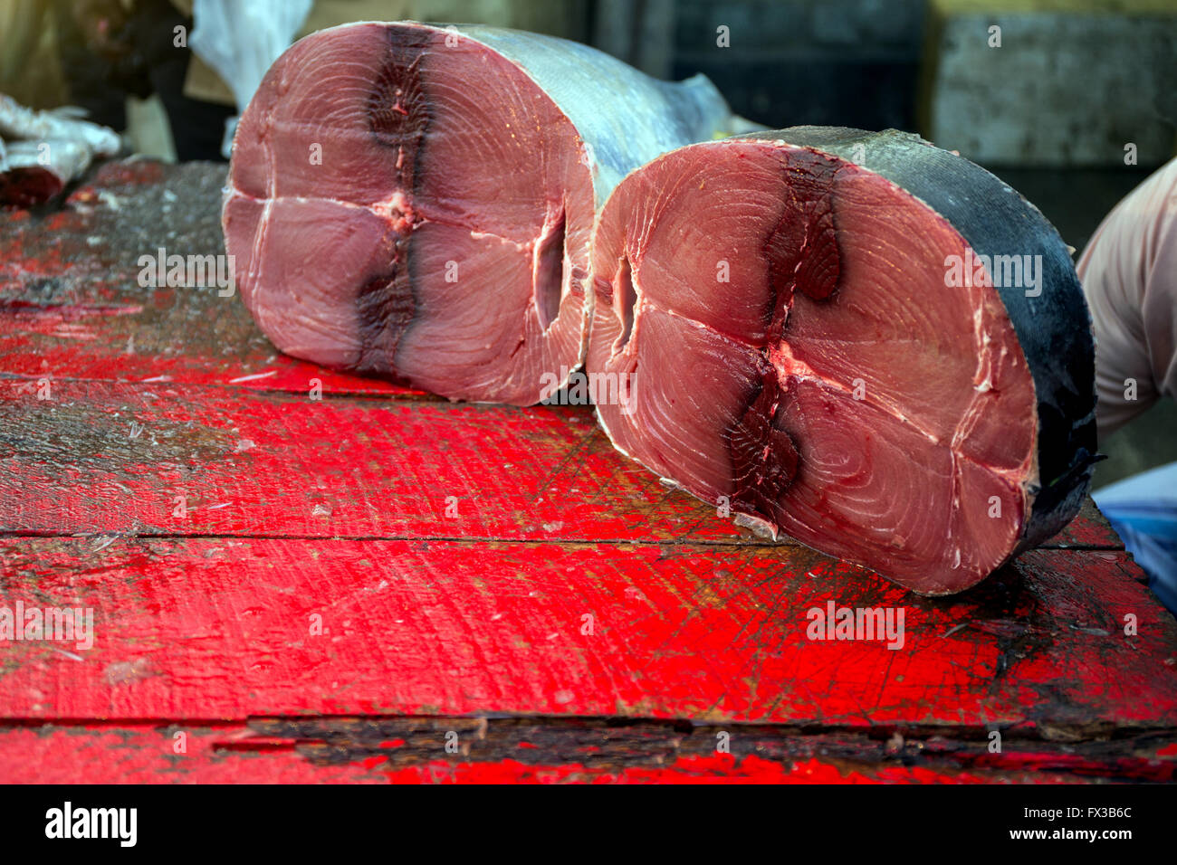 Fischhändler Filetieren, frischem Fisch, Hafen, Lagune von Negombo, Negombo, Sri Lanka, Indischer Ozean, Asien Stockfoto