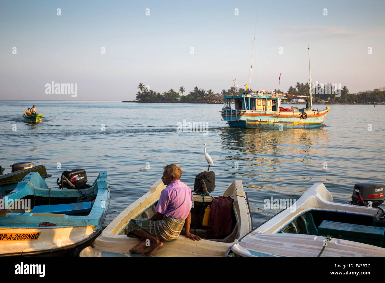 Negombo Fischmarkt, Sri Lanka. Porträt von einem lokalen Fischer Stockfoto