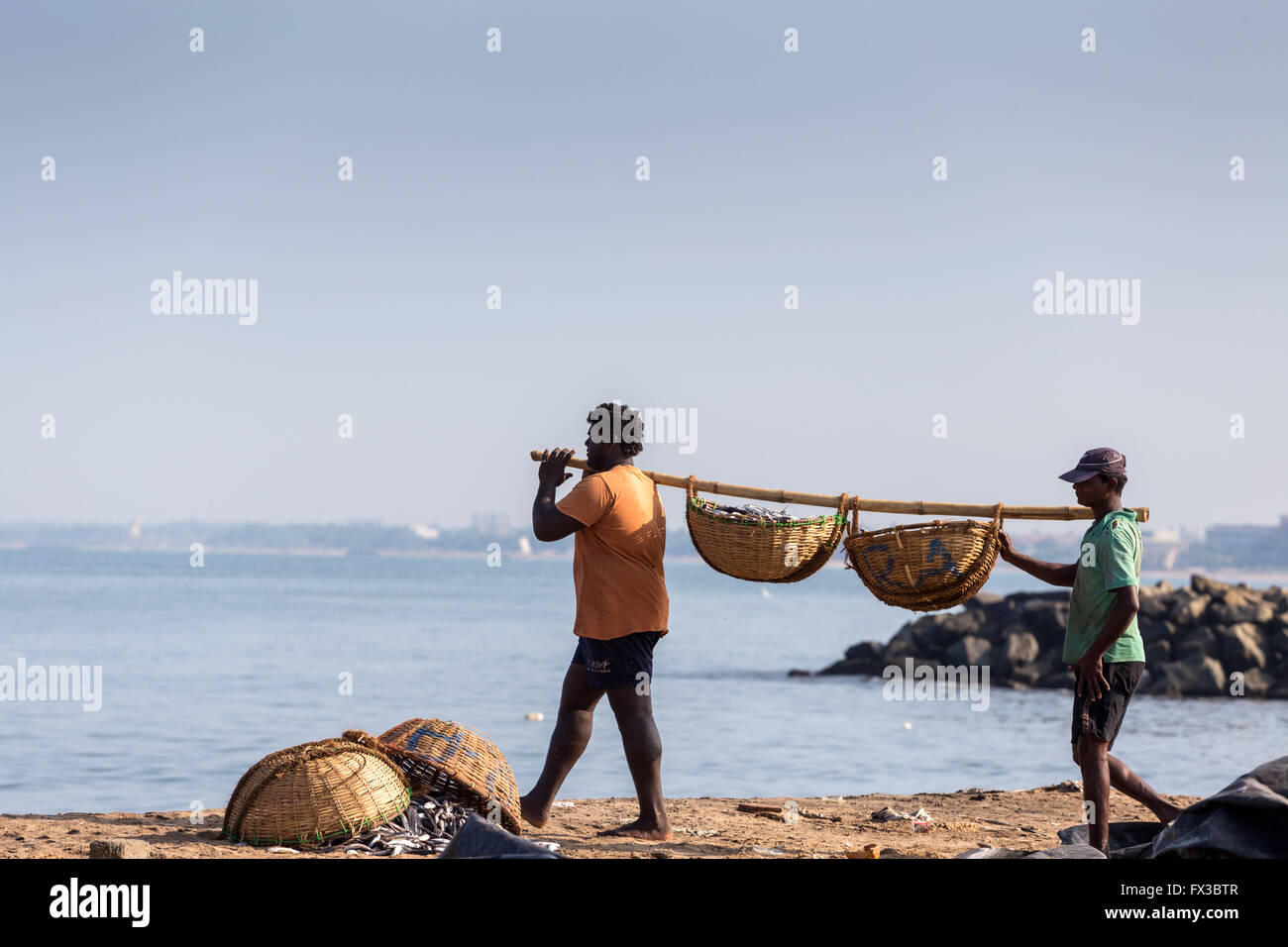 Negombo Fischmarkt (Lellama Fischmarkt), Fisch, Reinigung, Negombo, Westküste von Sri Lanka, Asien Stockfoto