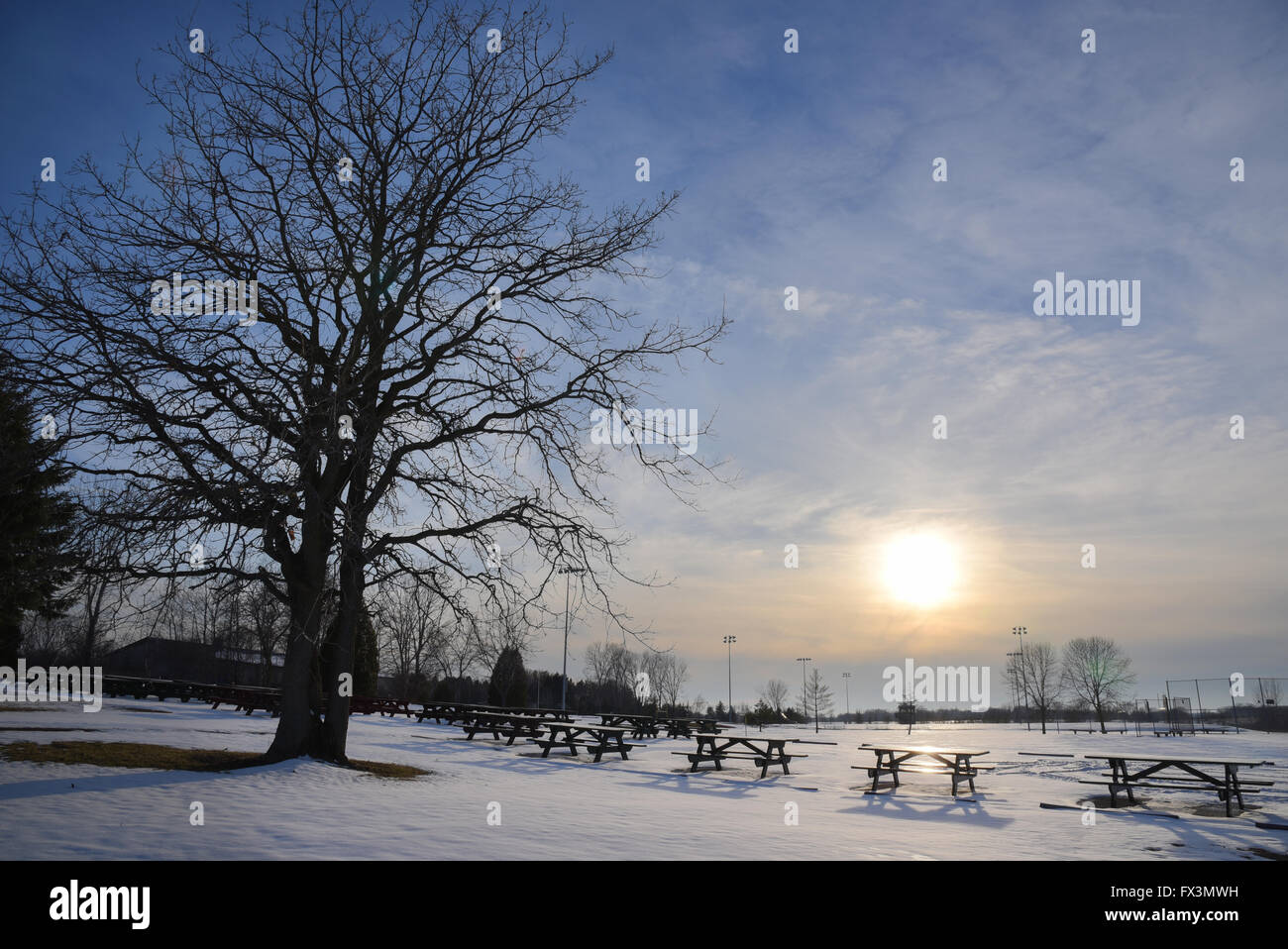 einen trockenen Baum auf schneebedeckten Boden während des Sonnenuntergangs Stockfoto