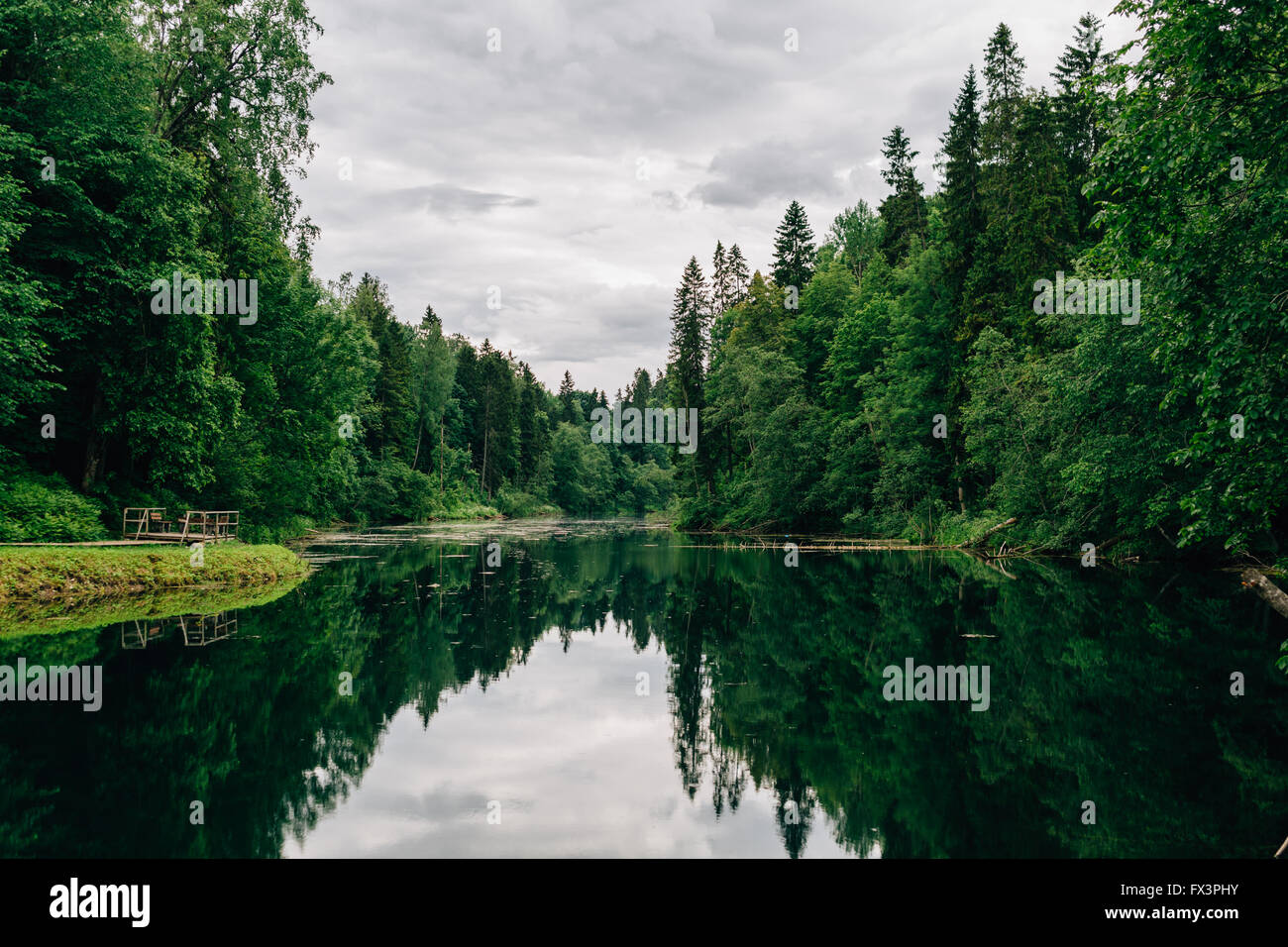 Wunderschöne Landschaft mit einem See und einem grünen Wald. Stockfoto